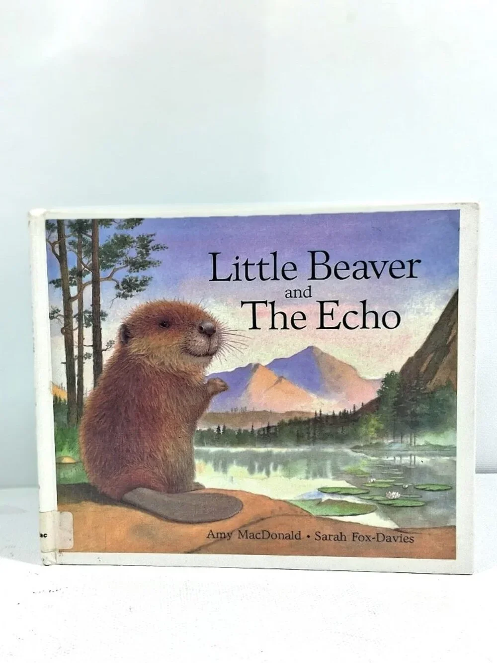 Little Beaver and The Echo by Amy MacDonald, Children's Book, 90s Y2K